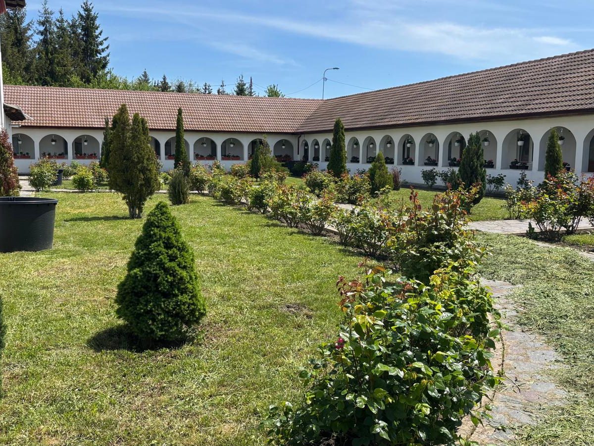 Curte amplă amenajată, cu conifere, trandafiri și alei pavate