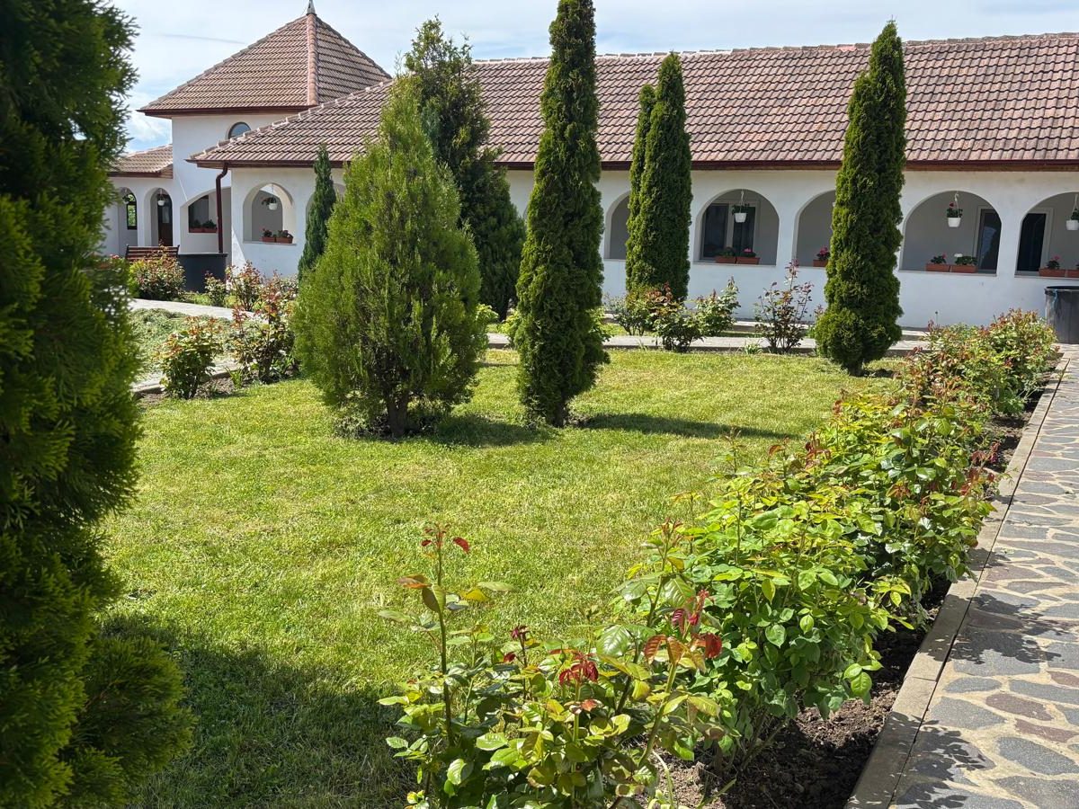 Amenajare peisagistică îngrijită, gazon și conifere ornamentale