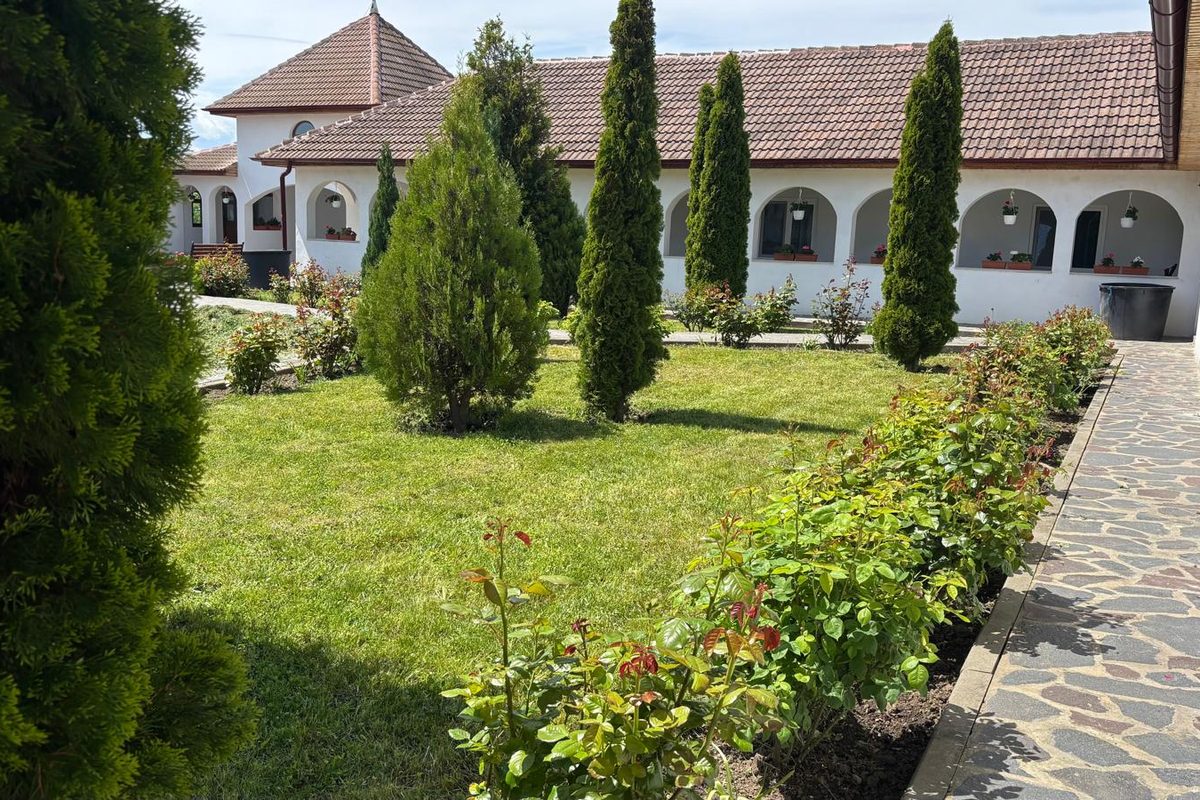 Amenajare peisagistică, gard viu și trandafiri