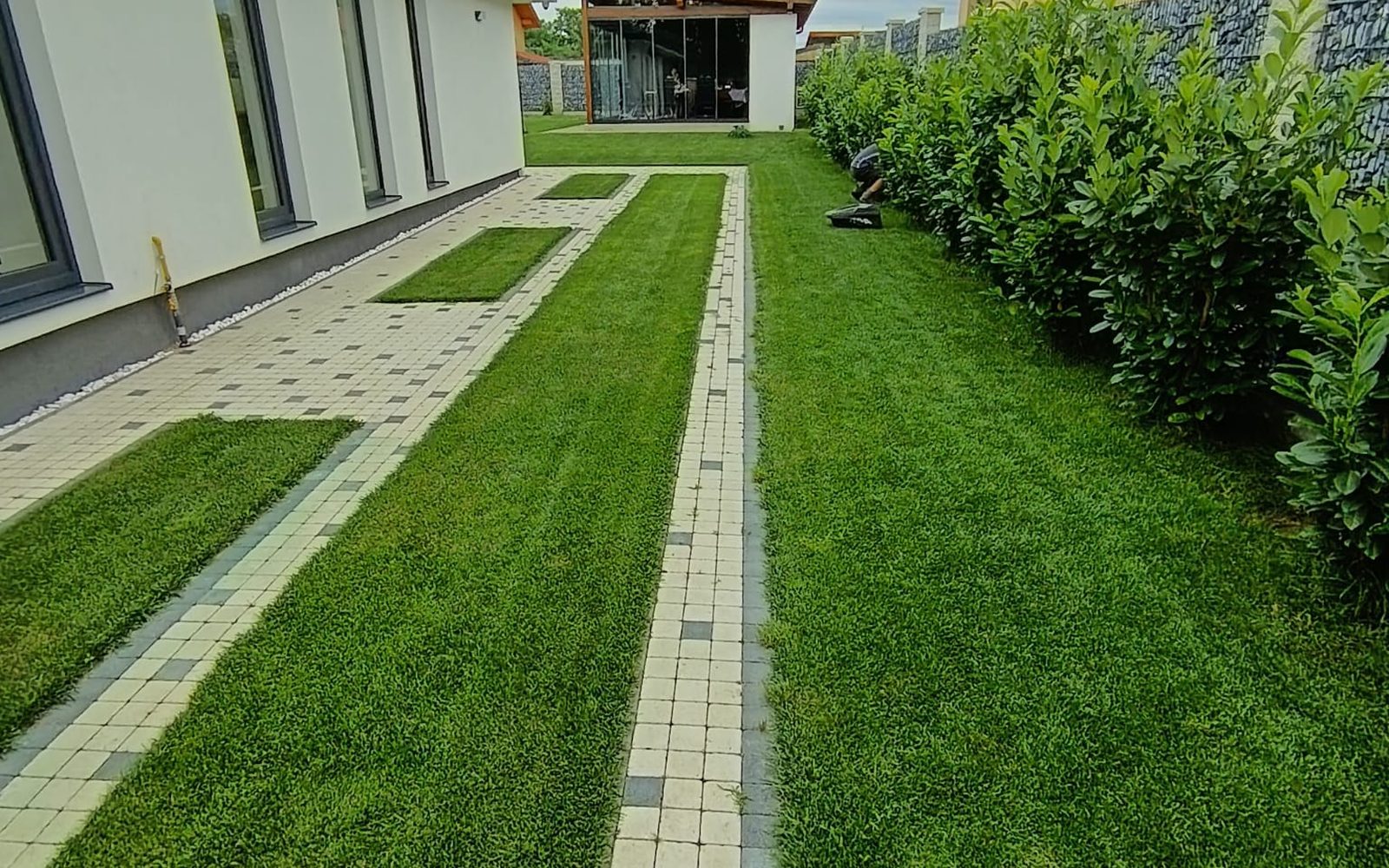 Gazon nou montat lângă o alee pavată, amenajare MSA Progarden în Brașov