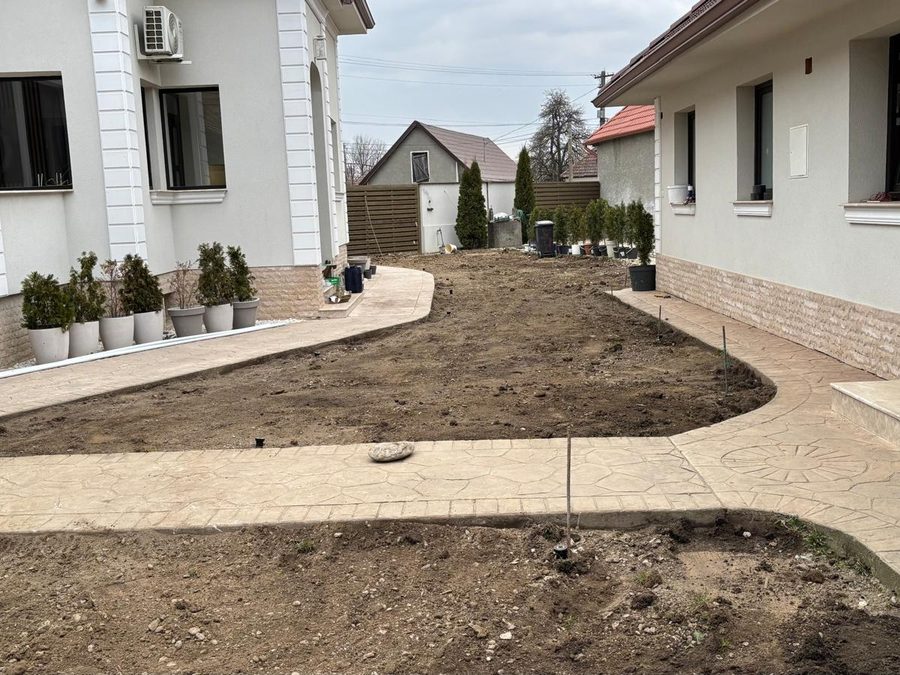 Teren pregătit pentru amenajare, cu conifere în ghivece gata de plantat